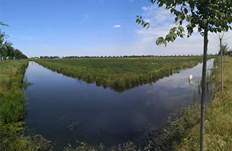 我公司承擔(dān)的蒙城縣“旱改水”項目為第一個通過省級驗收備案項目